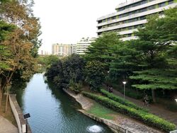 Blk 308B Punggol Walk (Punggol), HDB 5 Rooms #521877131